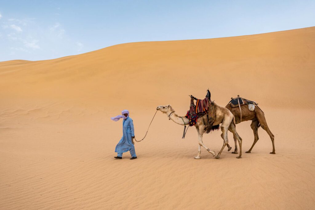 a man walking on the desert with camels