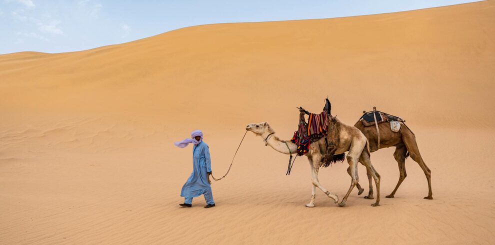 a man walking on the desert with camels