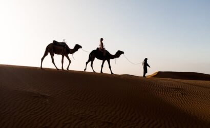camel caravan traversing a desert dune